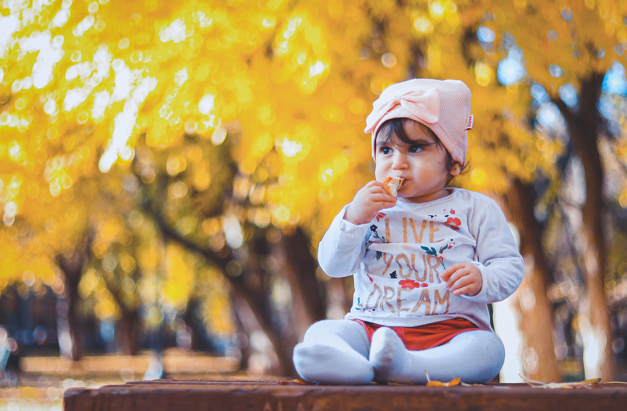 toddler photography tips