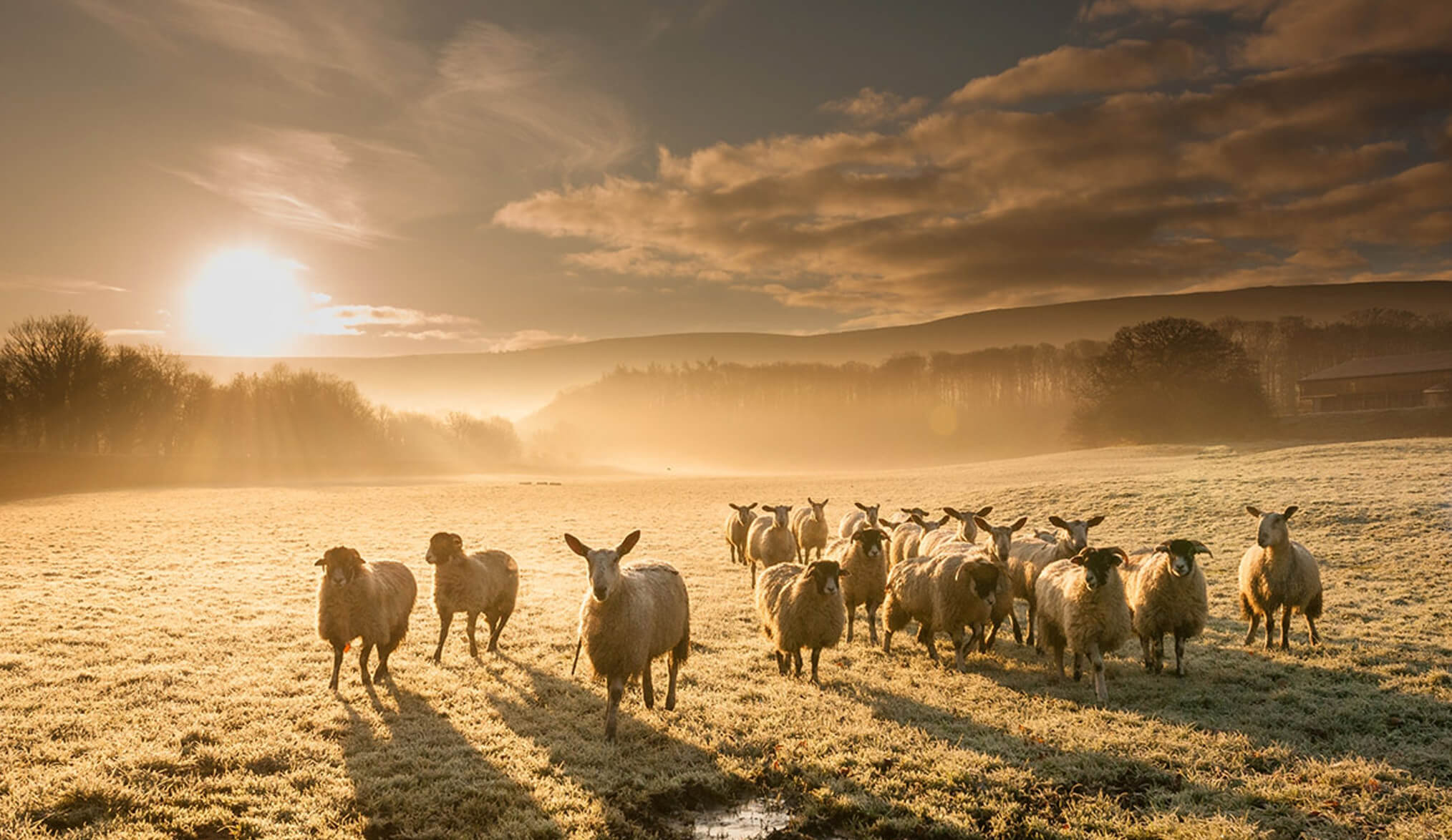 Best Weather Photography Tips Best Weather Photography Tips