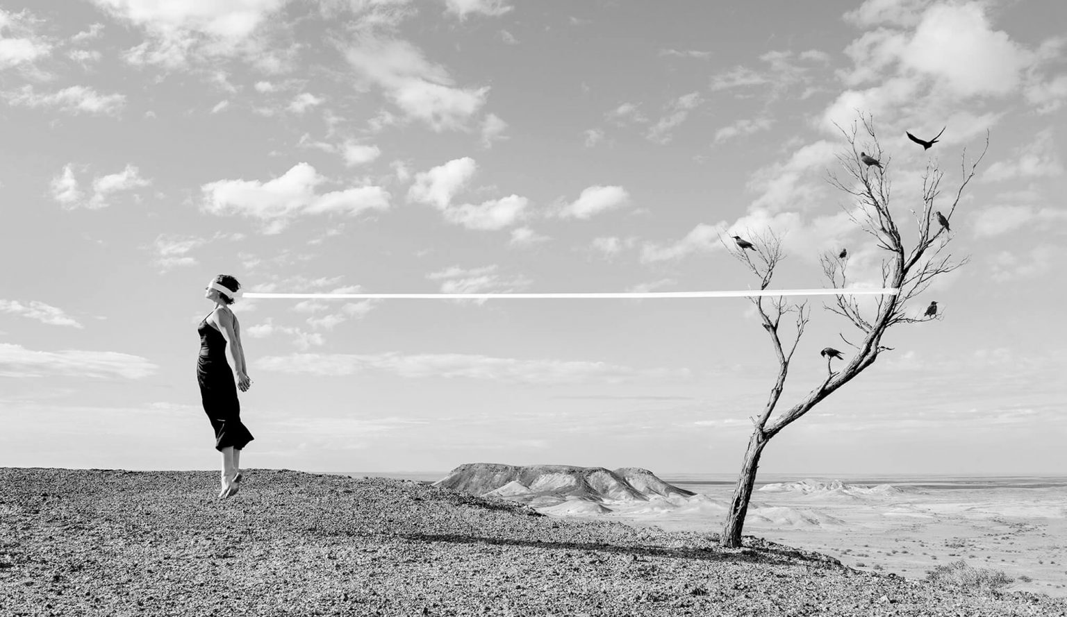 Fine Art Photography Tips To Get You To The Next Level Fotovalley